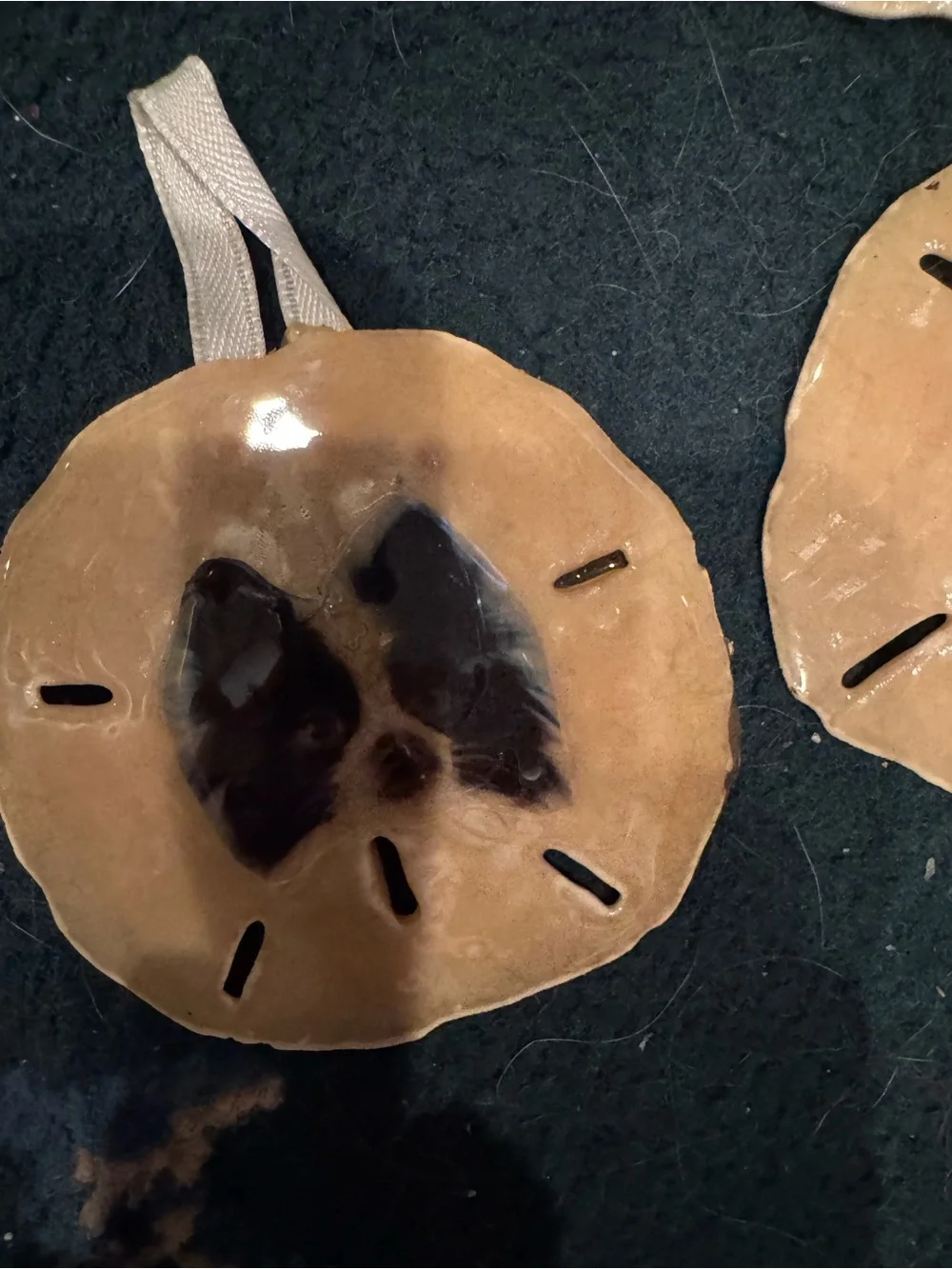 Handmade Tan real Sand Dollar Bird Perch with Pet Image Accent